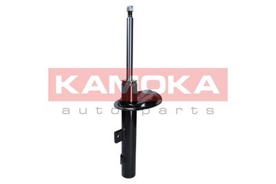 Shock Absorber 2000265