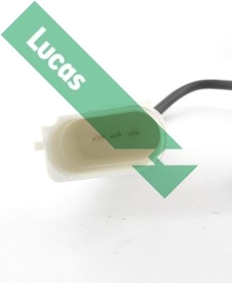 SENOR BATAI LUCAS SEB1480 1