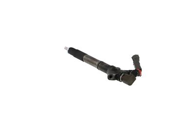 INJECTOR REMANTE 002003001324R 17