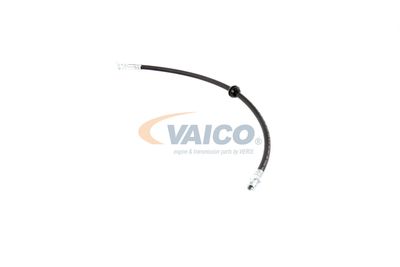 FURTUN FRANA VAICO V201909 19