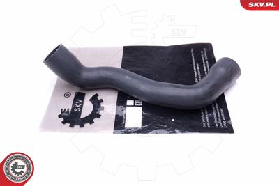 FURTUN EAR SUPRAALIMENTARE