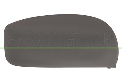 ACOPERIRE OGLINDA EXTERIOARA