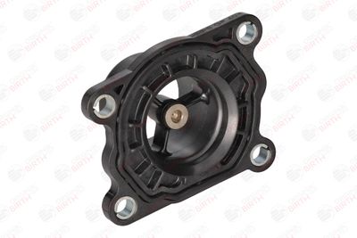 FLANSA LICHID RACIRE BIRTH 81798 6