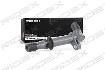 Катушка зажигания RIDEX 689C0047 для CHRYSLER ASPEN