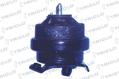 окачване, двигател TRICLO 363908