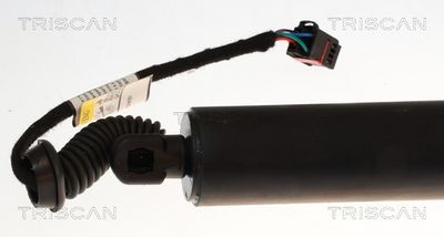 Plynárenská vzpera (pneumatická pružina), zavazadlový priestor TRISCAN 8710 29331