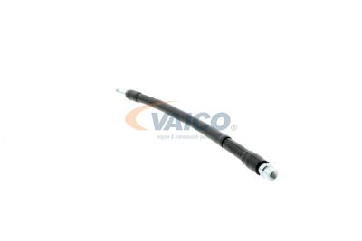 FURTUN FRANA VAICO V104223 19