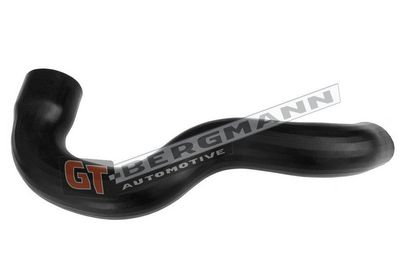 GT-BERGMANN Automotive - Hadica plniaceho vzduchu (hadica turba) AUDI , GT52-661
