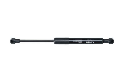 Dujinė spyruoklė, bagažinė