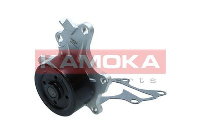 Water Pump, engine cooling T0302