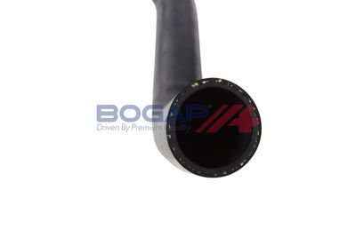 FURTUN EAR SUPRAALIMENTARE BOGAP C1711225 4
