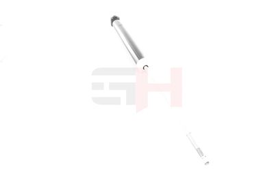 AMORTIZOR GH GH333001 21