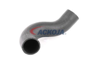 FURTUN EAR SUPRAALIMENTARE ACKOJA A380298 53