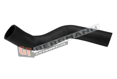 GT-BERGMANN Automotive Kompresoriaus padavimo žarna