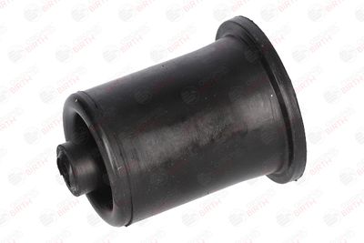 BUCSA ARBORE DE DIRECTIE BIRTH 4726 6