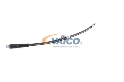 FURTUN FRANA VAICO V420748 21