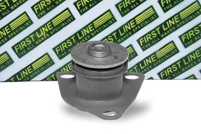 окачване, двигател FIRST LINE FEM3140