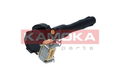 Ignition Coil 7120081