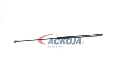 AMORTIZOR PORTBAGAJ ACKOJA A380338 36