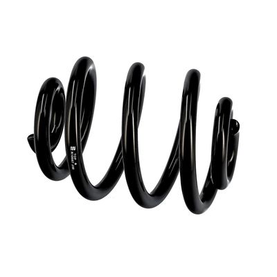 ARC SPIRAL EIBACH R10087 8