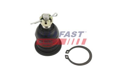 ARTICULATIE PARGHIE COT