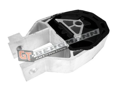 GT-BERGMANN Automotive Variklio montavimas