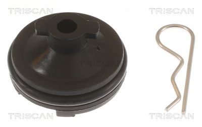 TRISCAN 9500 1023 Пробка поддона  для TOYOTA PROACE (Тойота Проаке)