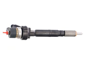 INJECTOR REMANTE 002003001190R 38