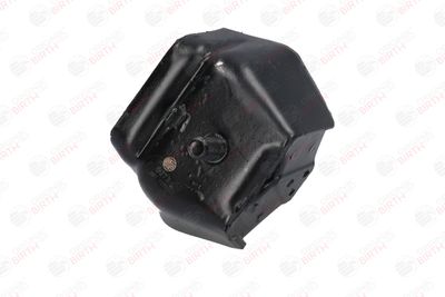 SUPORT MOTOR BIRTH 5273 11