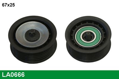 INTINZATOR CUREA CUREA DISTRIBUTIE