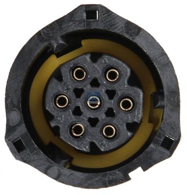 Kombinationsbackljus DT Spare Parts 1.21838 för SCANIA