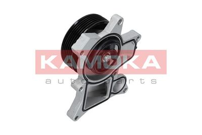 Water Pump, engine cooling T0048