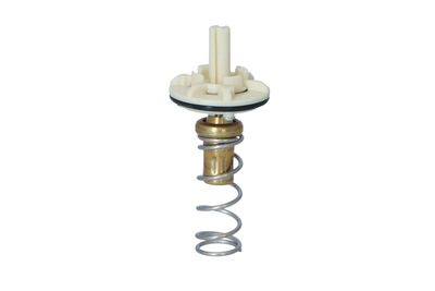 TERMOSTAT LICHID RACIRE NRF 725049 36