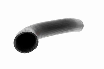 LADELUFTSCHLAUCH VAICO V420589 1