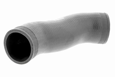 FURTUN EAR SUPRAALIMENTARE