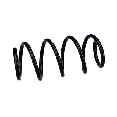 ARC SPIRAL EIBACH R22934 6