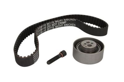 Timingset (riem+pulley)