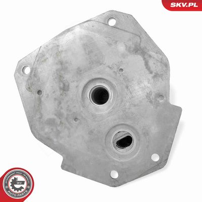 RADIATOR ULEI ULEI MOTOR ESEN SKV 31SKV349 3