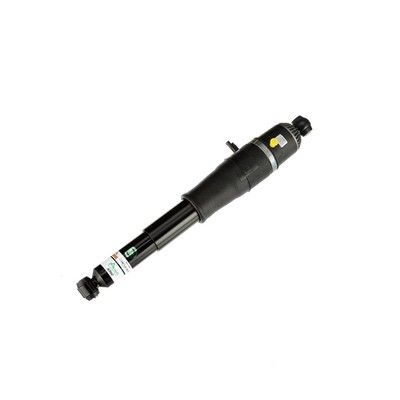 LUFTFEDERBEIN Arnott AS3066 73