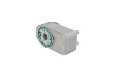 RADIATOR ULEI ULEI MOTOR KAMOKA 7730174 1