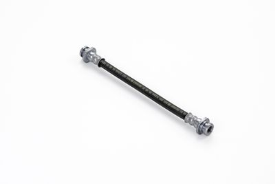 FURTUN FRANA ATE 24520101953 16