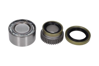 Kavo Parts Rato guolio komplektas