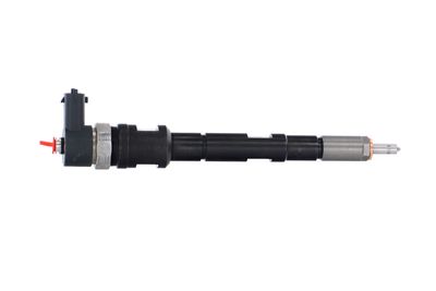 INJECTOR REMANTE 002003001196R 40