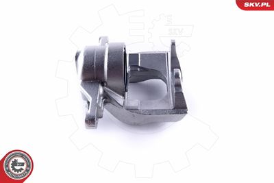 Brake Caliper 46SKV741