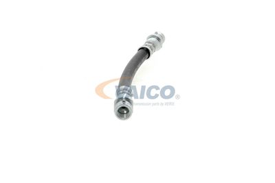 FURTUN FRANA VAICO V104114 39