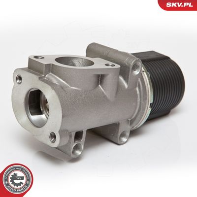 SUPAPA EGR ESEN SKV 14SKV076 2