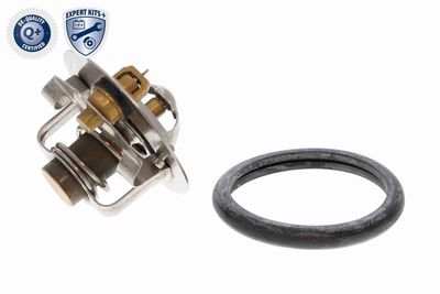 Termostat, chladivo ACKOJA A53-99-0008