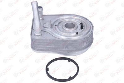 RADIATOR ULEI ULEI MOTOR BIRTH 80865 4