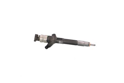 INJECTOR REMANTE 002003002030R 47