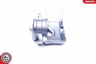 Brake Caliper 46SKV221